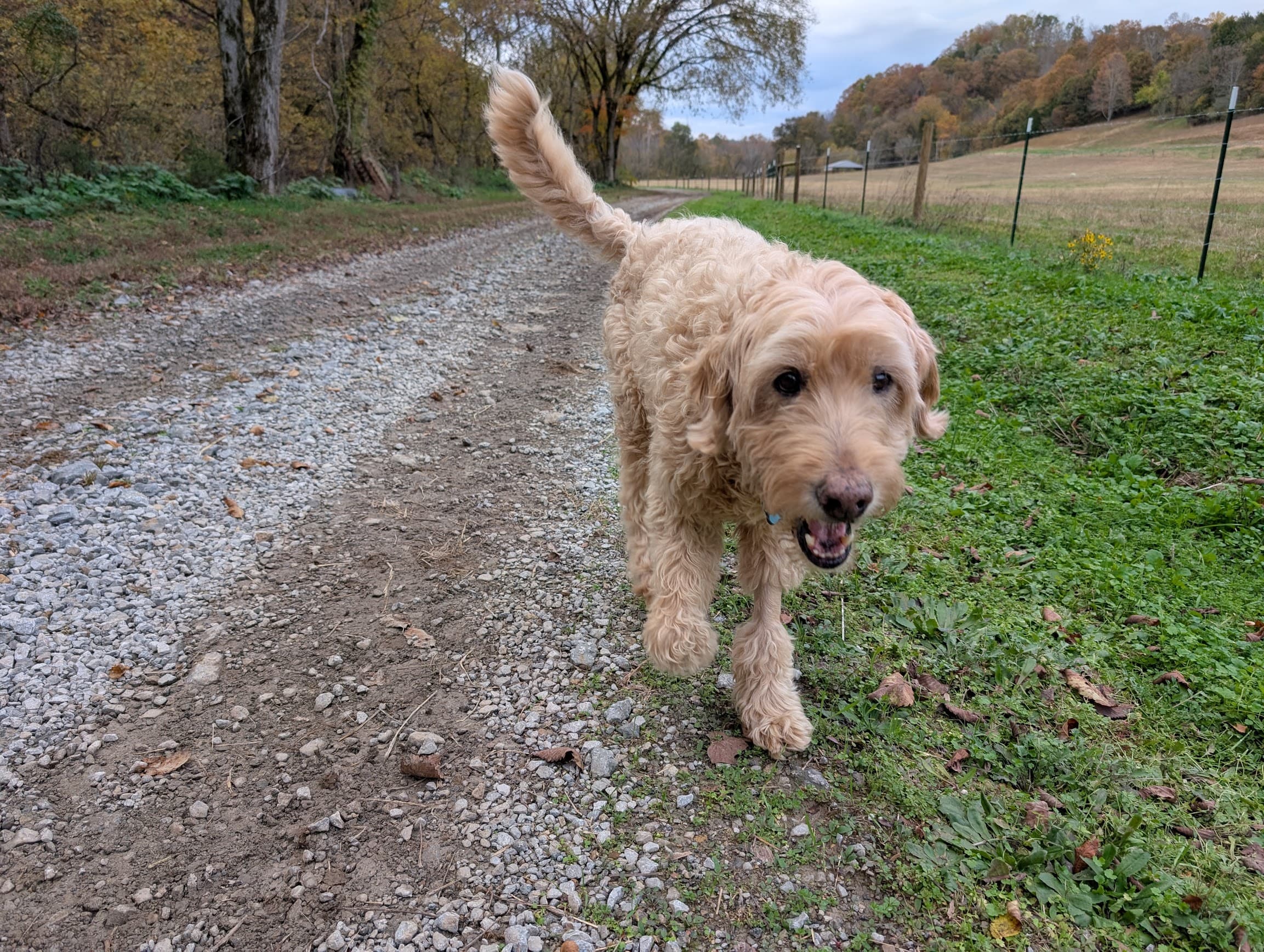 Lalo - Where It All Started